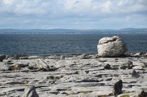 9428800487_516e136412_c