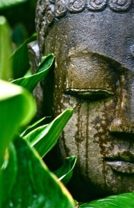 tumblr_muudmt2GSC1r4p4ago1_500